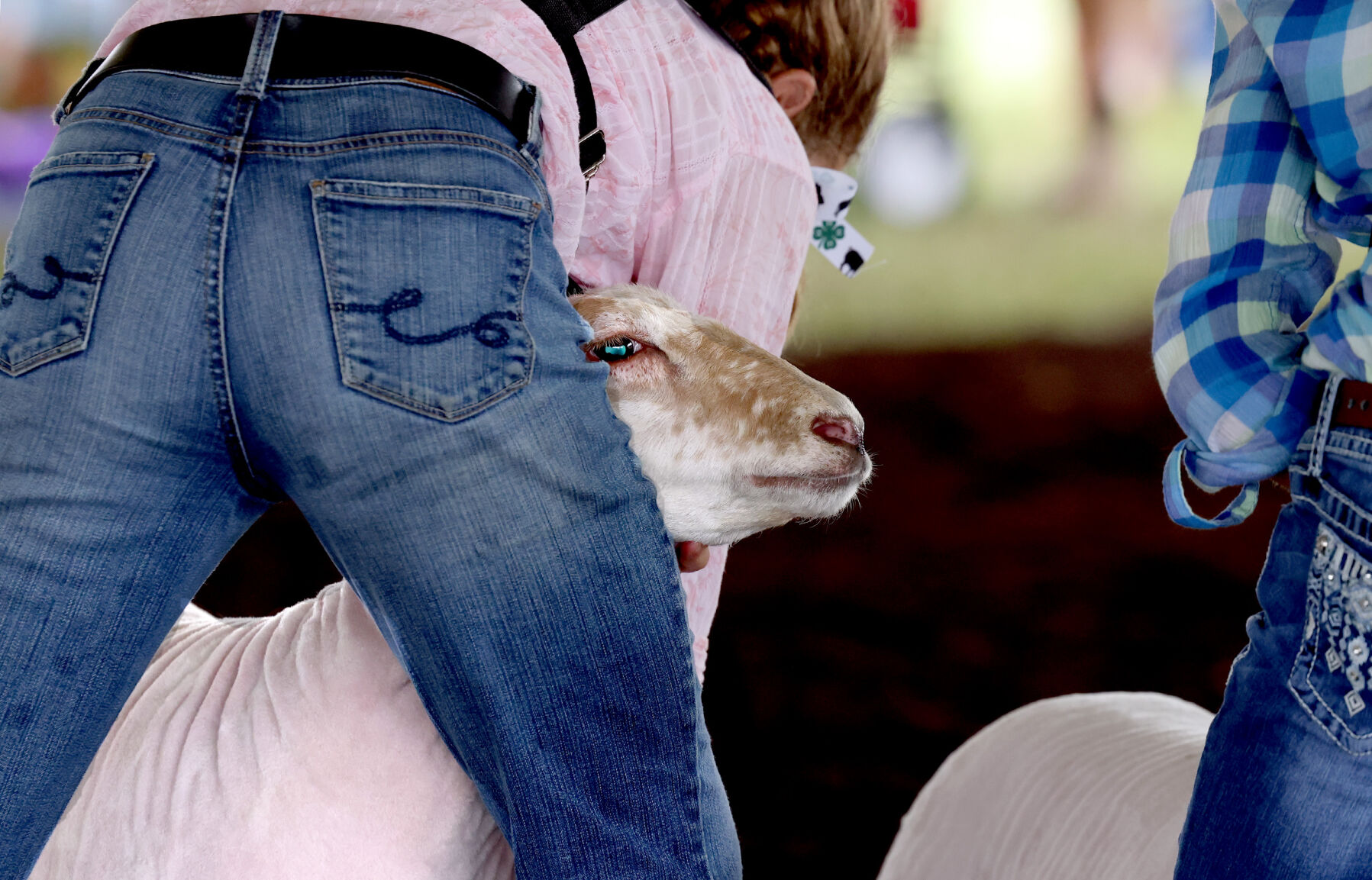 4-H Youth 7 .JPG